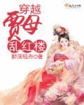 穿越贾母乱红楼