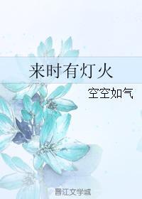 来时有灯火