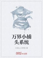 ���С��ͷϵͳ