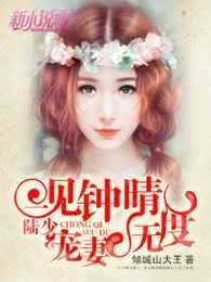 一见钟晴:陆少,宠妻无度