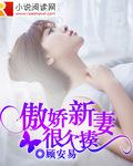 总裁大人不服来战