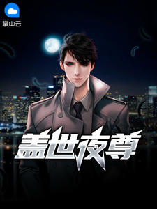 退役兵王沈七夜