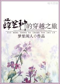薛芒种的穿越之旅