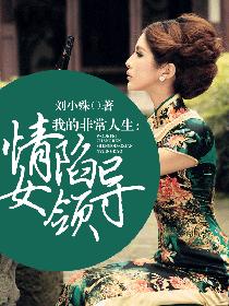 我的非常人生:情陷女领导